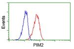 PIM2 Antibody in Flow Cytometry (Flow)