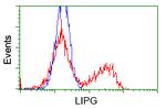 PIM2 Antibody in Flow Cytometry (Flow)