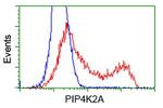 PIP4K2A Antibody in Flow Cytometry (Flow)