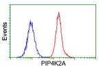 PIP4K2A Antibody in Flow Cytometry (Flow)