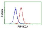 PIP4K2A Antibody in Flow Cytometry (Flow)