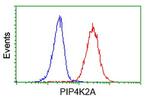 PIP4K2A Antibody in Flow Cytometry (Flow)