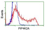 PIP4K2A Antibody in Flow Cytometry (Flow)