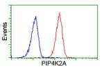 PIP4K2A Antibody in Flow Cytometry (Flow)