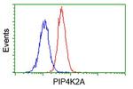 PIP4K2A Antibody in Flow Cytometry (Flow)