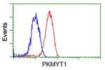 PKMYT1 Antibody in Flow Cytometry (Flow)