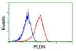 PLDN Antibody in Flow Cytometry (Flow)