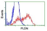 PLDN Antibody in Flow Cytometry (Flow)