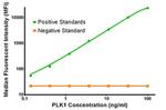 PLK1 Antibody in Luminex (LUM)