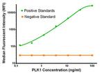 PLK1 Antibody in Luminex (LUM)