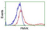 PMVK Antibody in Flow Cytometry (Flow)