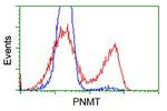 PNMT Antibody in Flow Cytometry (Flow)