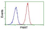 PNMT Antibody in Flow Cytometry (Flow)