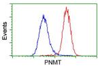 PNMT Antibody in Flow Cytometry (Flow)