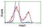 PNMT Antibody in Flow Cytometry (Flow)