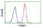 PNMT Antibody in Flow Cytometry (Flow)