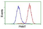 PNMT Antibody in Flow Cytometry (Flow)