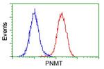 PNMT Antibody in Flow Cytometry (Flow)