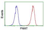 PNMT Antibody in Flow Cytometry (Flow)