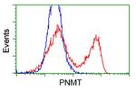 PNMT Antibody in Flow Cytometry (Flow)