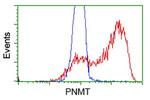 PNMT Antibody in Flow Cytometry (Flow)