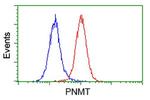 PNMT Antibody in Flow Cytometry (Flow)