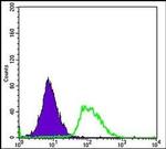 PODXL Antibody in Flow Cytometry (Flow)