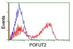 POFUT2 Antibody in Flow Cytometry (Flow)