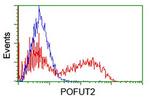 POFUT2 Antibody in Flow Cytometry (Flow)