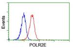 POLR2E Antibody in Flow Cytometry (Flow)