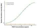 PON1 Antibody in ELISA (ELISA)