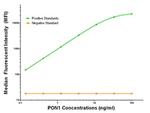 PON1 Antibody in Luminex (LUM)