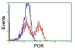 POR Antibody in Flow Cytometry (Flow)