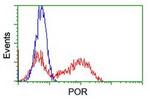 POR Antibody in Flow Cytometry (Flow)