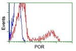 POR Antibody in Flow Cytometry (Flow)