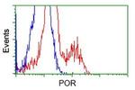 POR Antibody in Flow Cytometry (Flow)