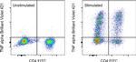 TNF alpha Antibody in Flow Cytometry (Flow)