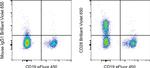 CD28 Antibody in Flow Cytometry (Flow)