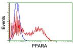 PPARA Antibody in Flow Cytometry (Flow)