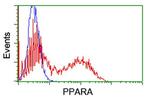 PPARA Antibody in Flow Cytometry (Flow)