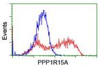 PPP1R15A Antibody in Flow Cytometry (Flow)