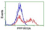 PPP1R15A Antibody in Flow Cytometry (Flow)