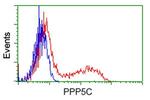 PPP5C Antibody in Flow Cytometry (Flow)