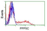 PPP5C Antibody in Flow Cytometry (Flow)