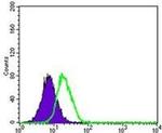 PPY Antibody in Flow Cytometry (Flow)