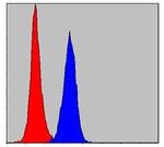 PKN2 Antibody in Flow Cytometry (Flow)