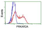 PRKAR2A Antibody in Flow Cytometry (Flow)