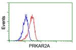 PRKAR2A Antibody in Flow Cytometry (Flow)