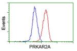 PRKAR2A Antibody in Flow Cytometry (Flow)