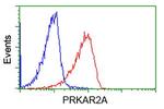 PRKAR2A Antibody in Flow Cytometry (Flow)